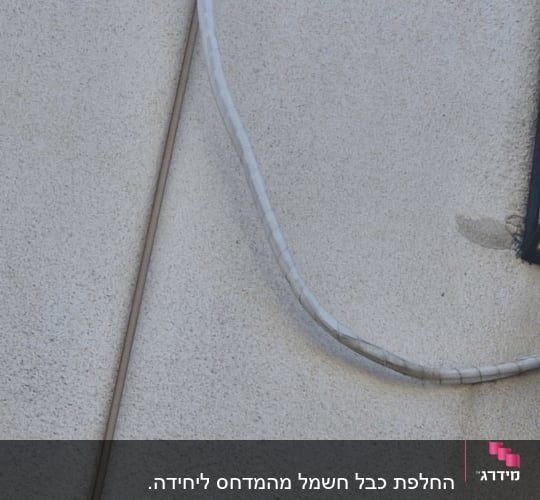 תוכי ירוק יושב על צינור על קיר חיצוני